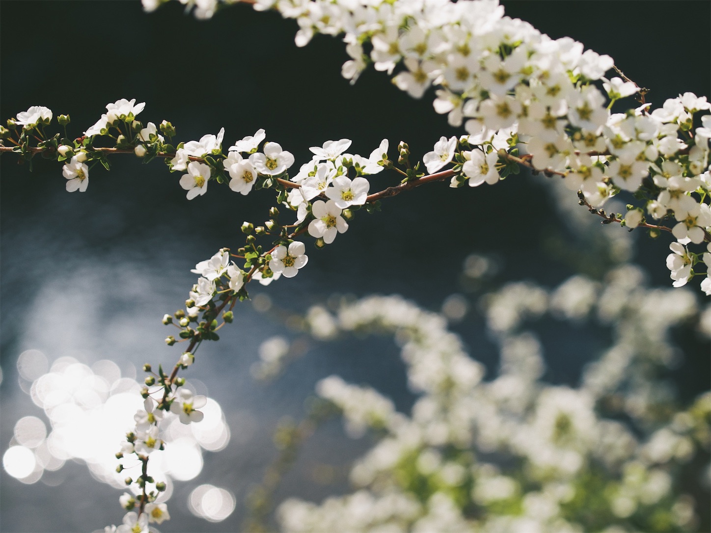 f:id:capturekyoto:20240320094018j:image