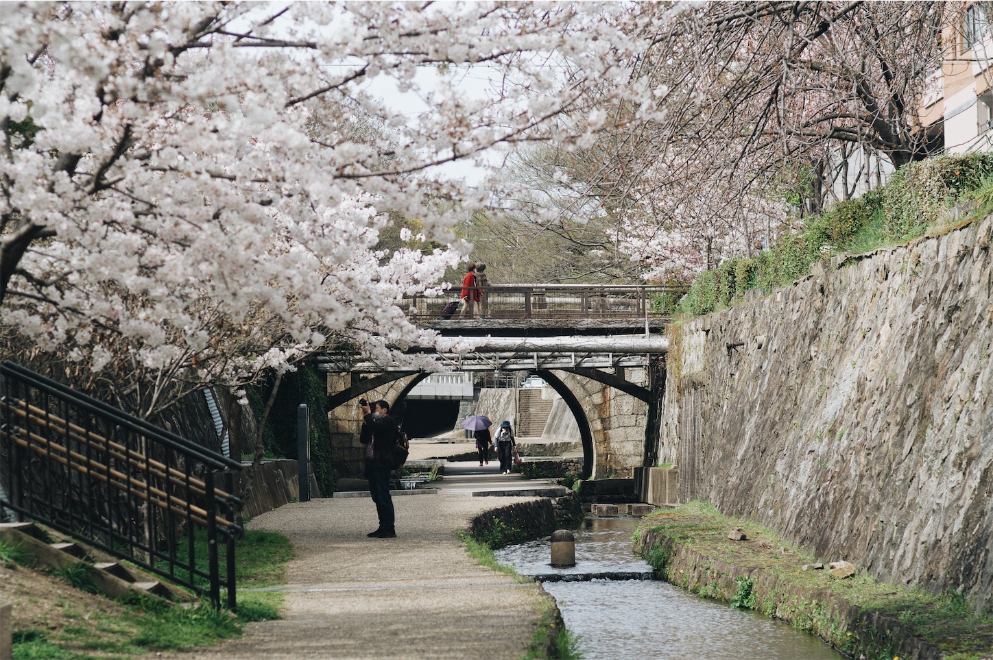 f:id:capturekyoto:20240423231835j:image