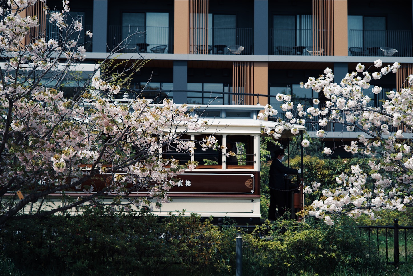 f:id:capturekyoto:20240423231847j:image