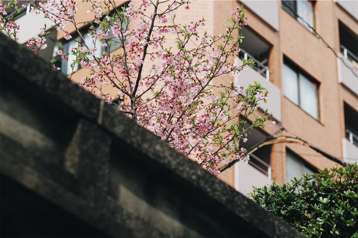 f:id:capturekyoto:20240423231850j:image