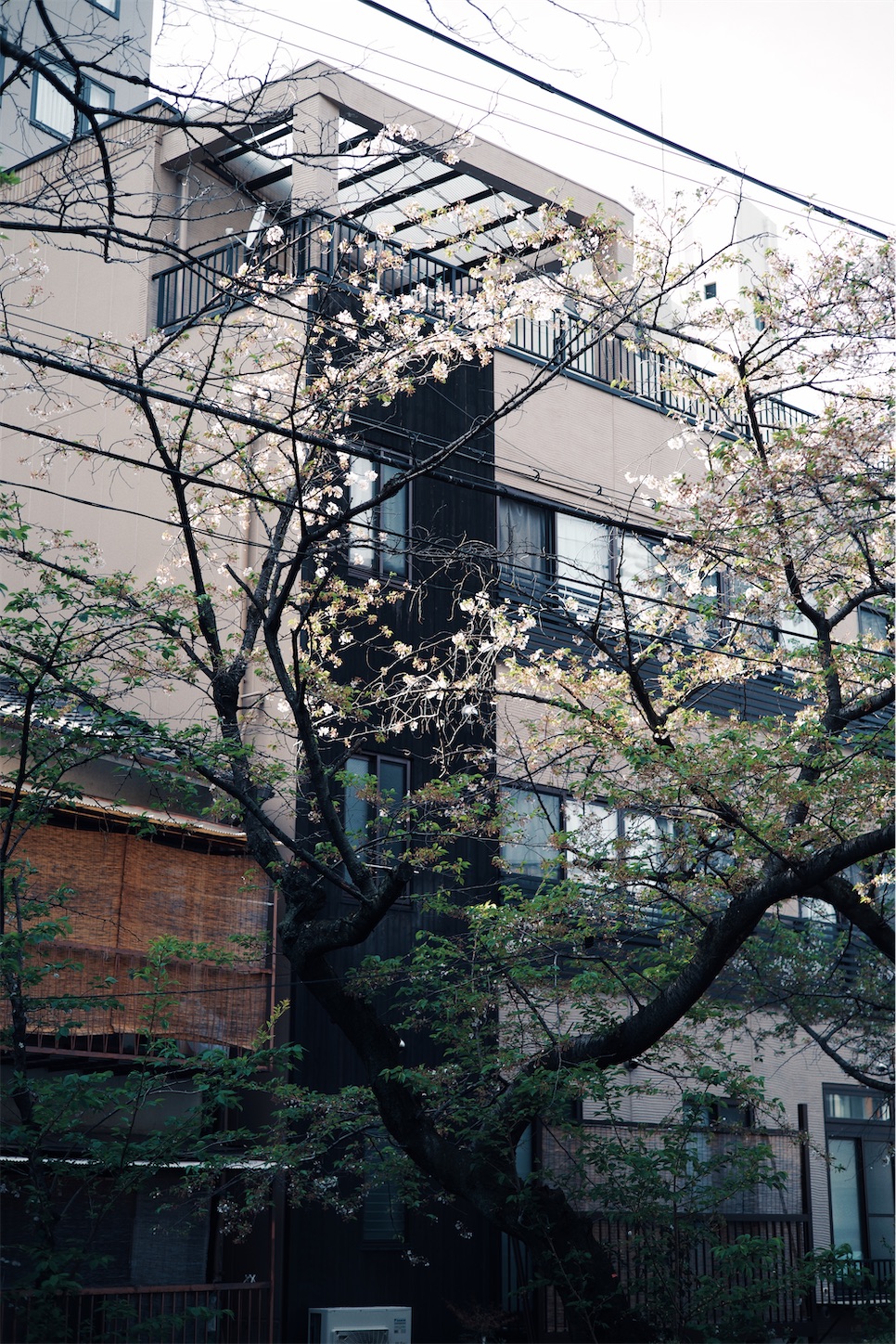 f:id:capturekyoto:20240423231853j:image