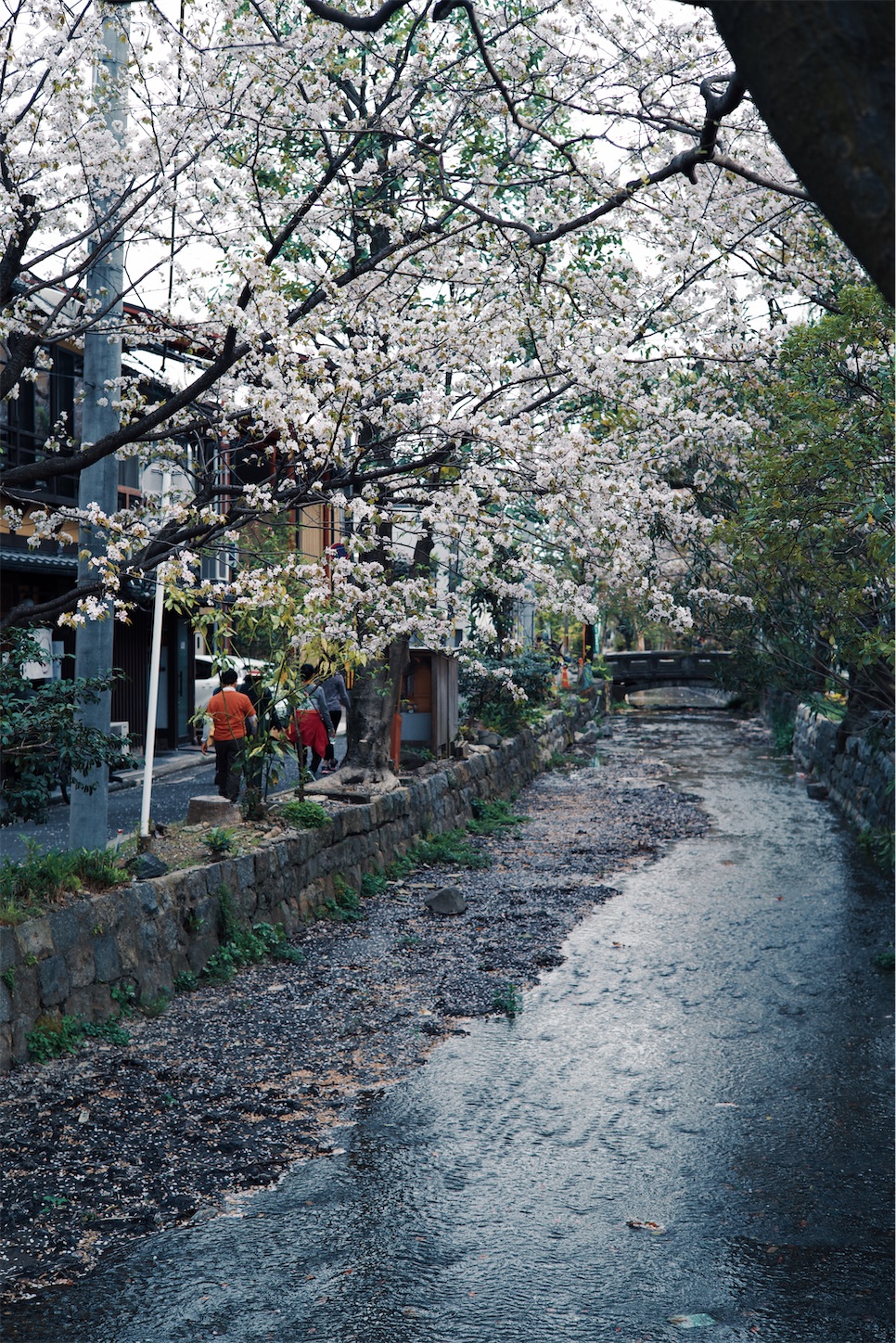 f:id:capturekyoto:20240423231901j:image