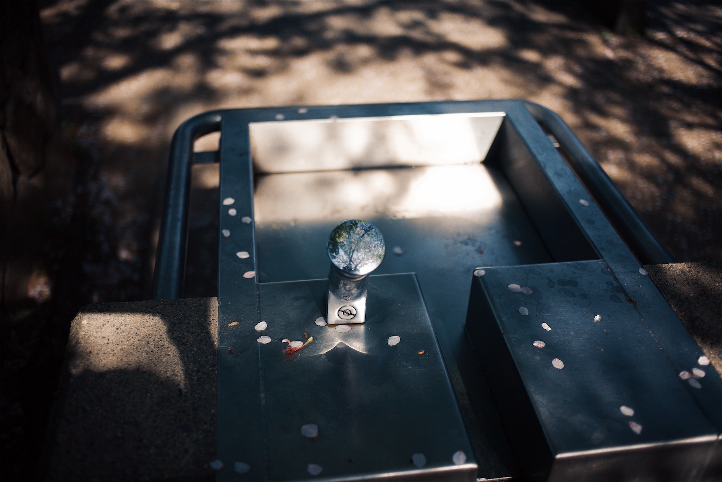f:id:capturekyoto:20240423231904j:image
