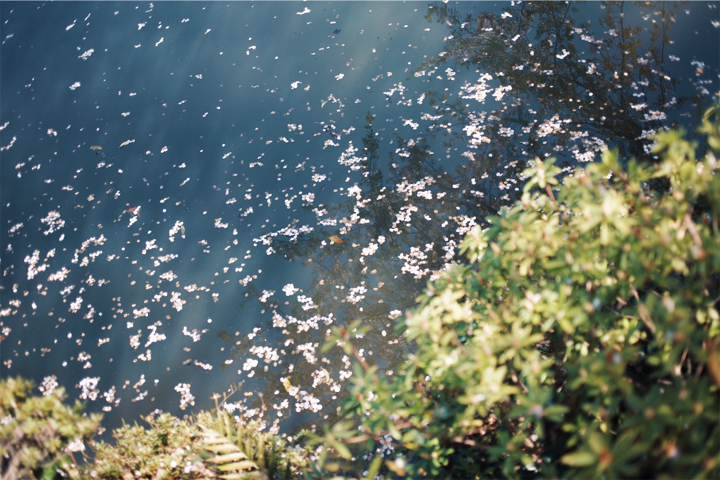 f:id:capturekyoto:20240423231908j:image