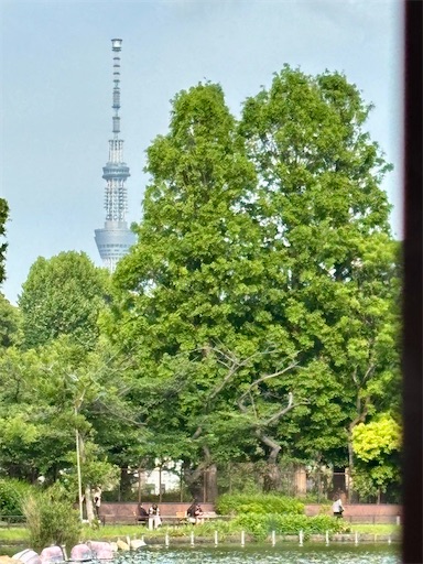 f:id:capuriko738:20250909234254j:image