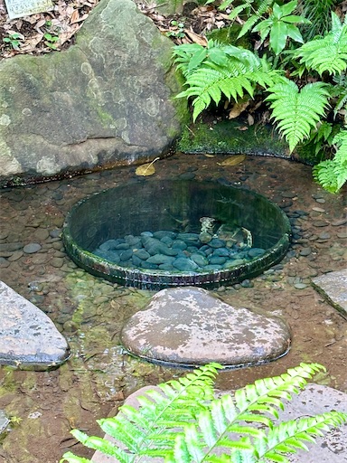 f:id:capuriko738:20250909235247j:image