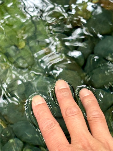 f:id:capuriko738:20250909235250j:image