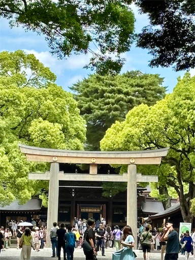 f:id:capuriko738:20250909235401j:image