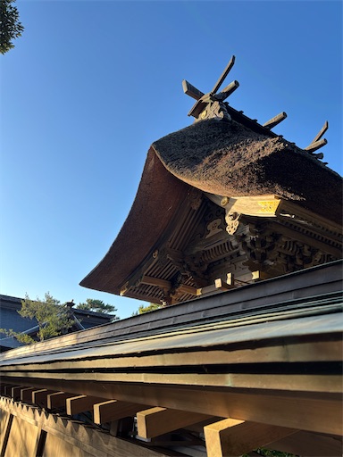 f:id:capuriko738:20251006151133j:image