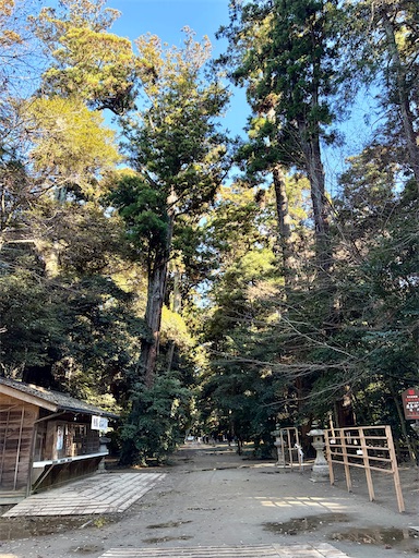 f:id:capuriko738:20260104213421j:image