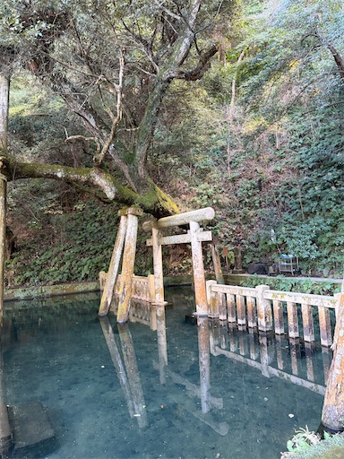 f:id:capuriko738:20260104214131j:image