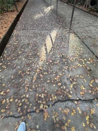 f:id:capuriko738:20260104214335j:image