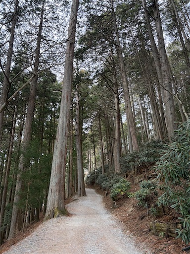 f:id:capuriko738:20260126111056j:image