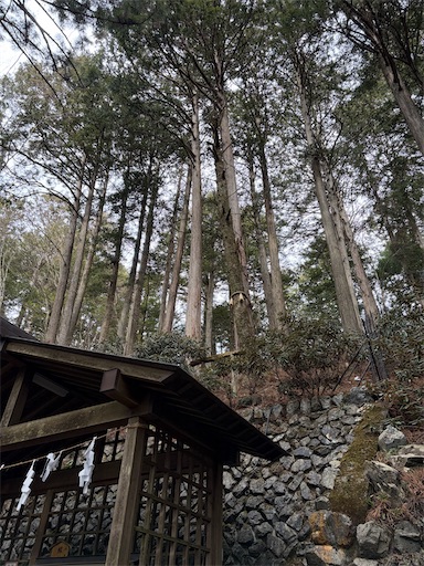 f:id:capuriko738:20260126111211j:image