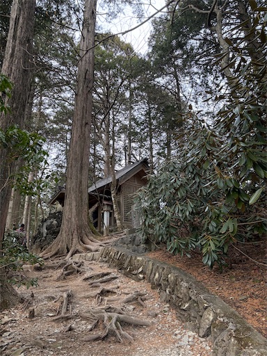 f:id:capuriko738:20260126112358j:image