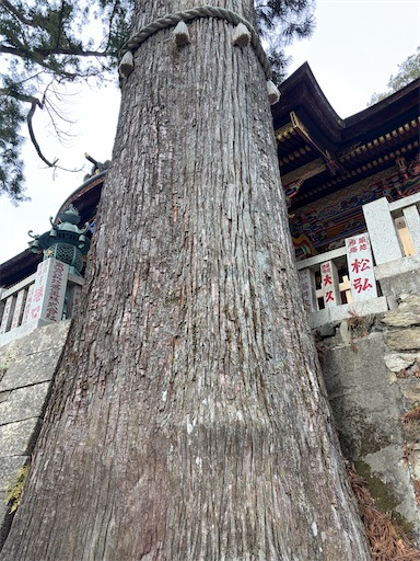 f:id:capuriko738:20260126112514j:image