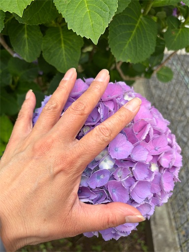 f:id:capuriko738:20260721210900j:image