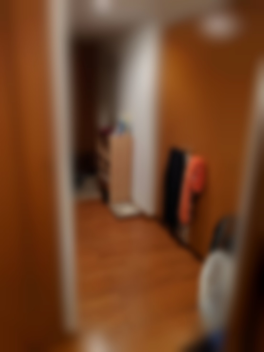 f:id:capydayo:20200404144849j:plain