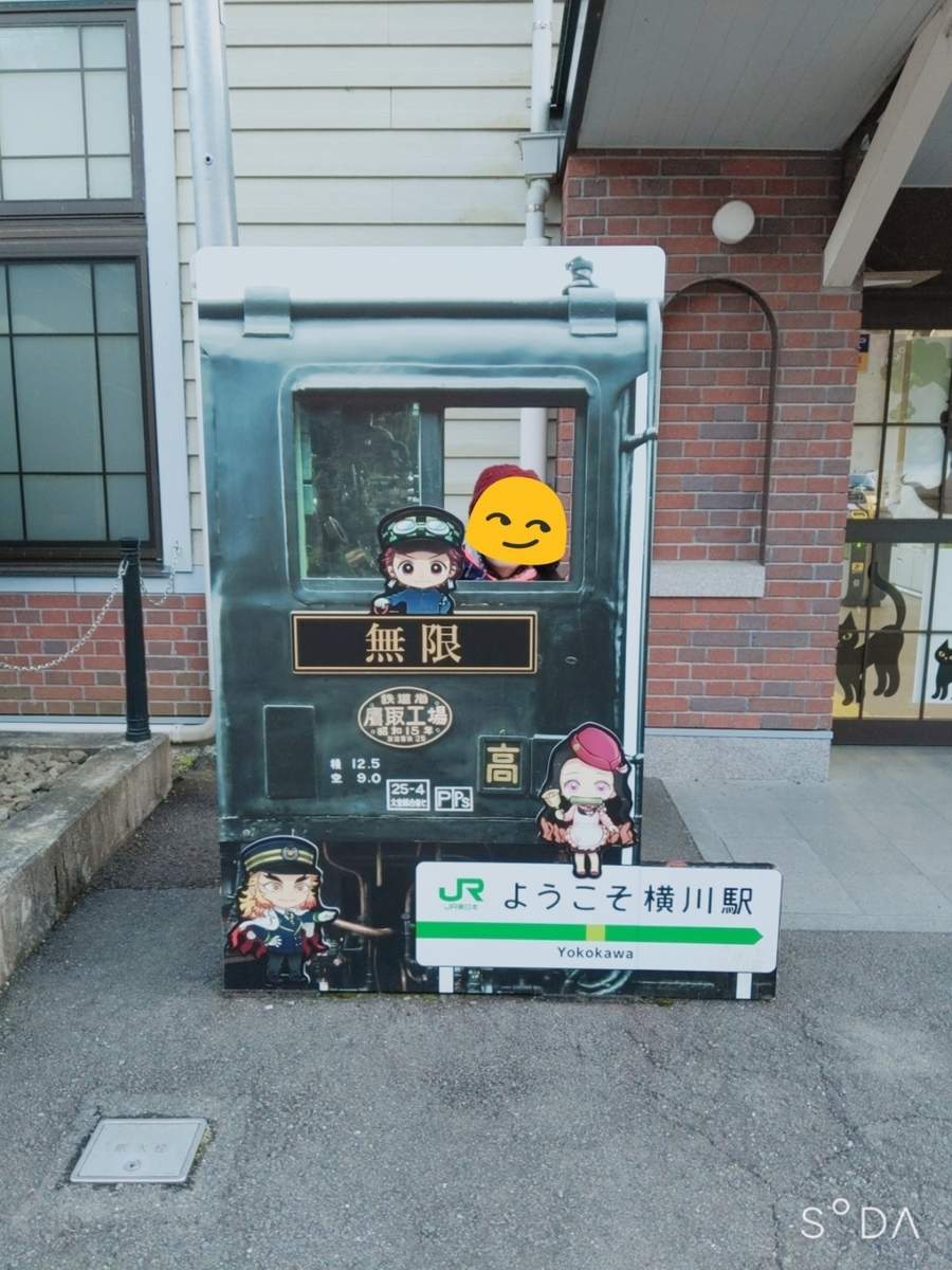 f:id:capydayo:20201129152534j:plain