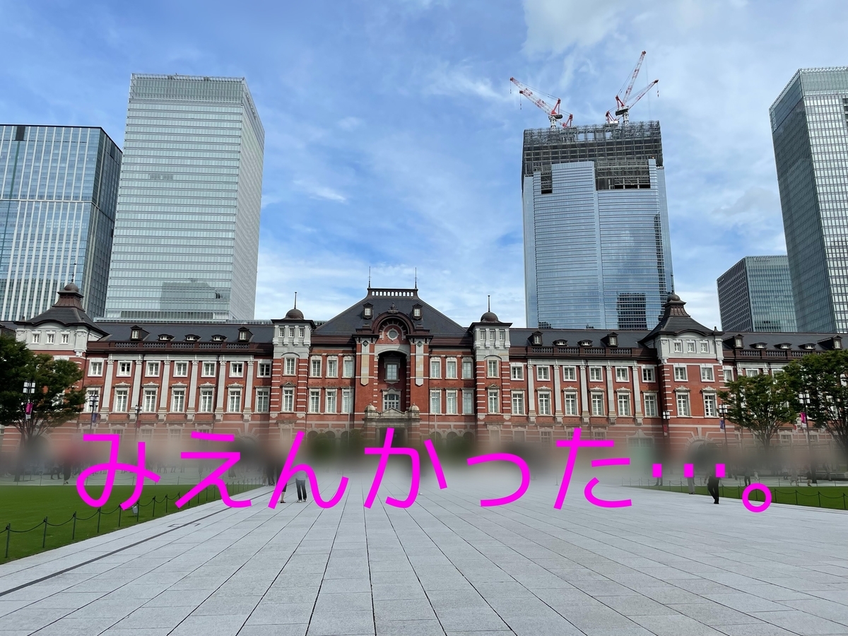 f:id:capydayo:20210823221642j:plain
