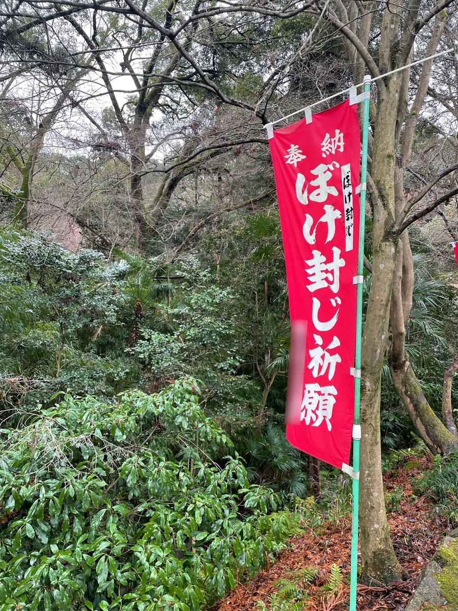 f:id:capydayo:20220123122727j:plain