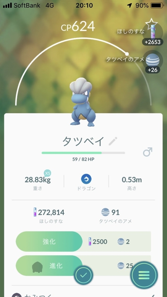 f:id:capygonfarm:20181208204956j:plain f:id:capygonfarm:20181208204956j:plain