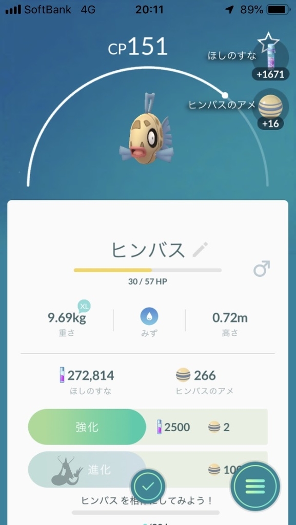 f:id:capygonfarm:20181208205516j:plain f:id:capygonfarm:20181208205516j:plain