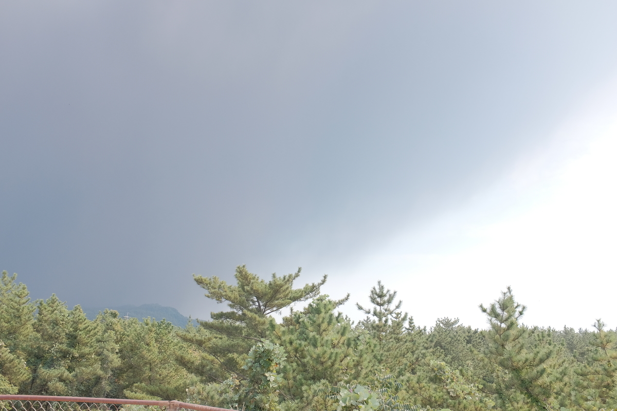f:id:car4ryu:20191207003558j:plain f:id:car4ryu:20191207003558j:plain