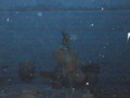 2003年 デンマーク 人魚姫の像