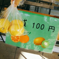 f:id:carat_workshop:20190117201243j:plain f:id:carat_workshop:20190117201243j:plain