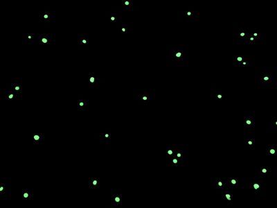 f:id:carat_workshop:20210119143843j:plain