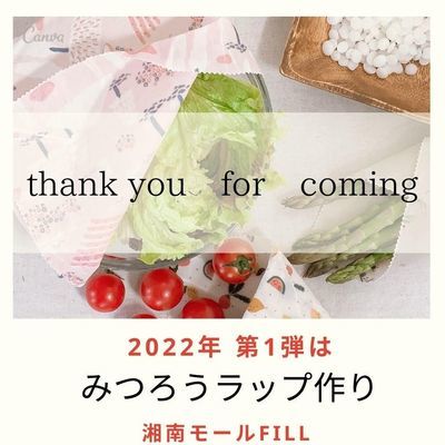f:id:carat_workshop:20220110214552j:plain