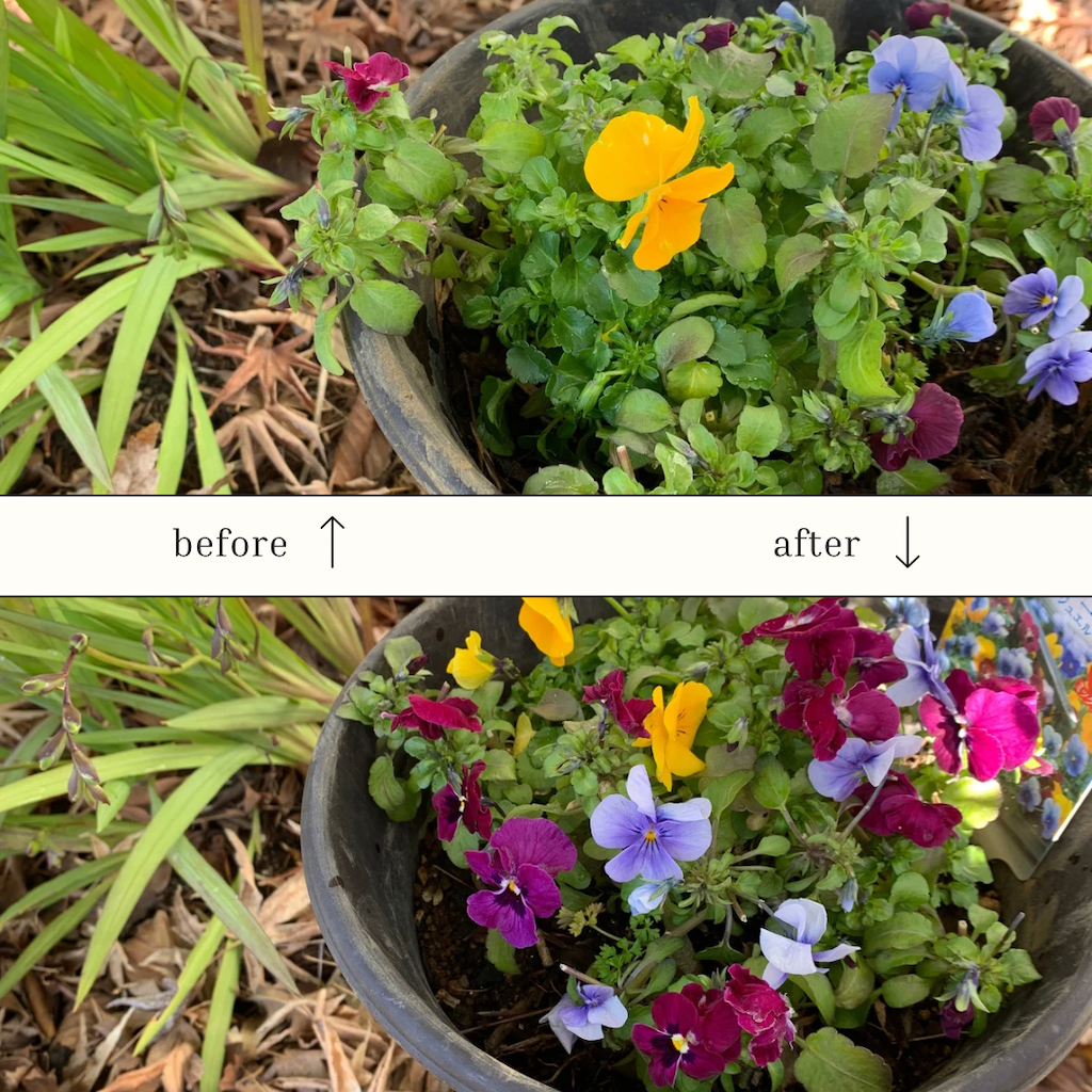 f:id:carat_workshop:20240312224227p:image f:id:carat_workshop:20240312224227p:image