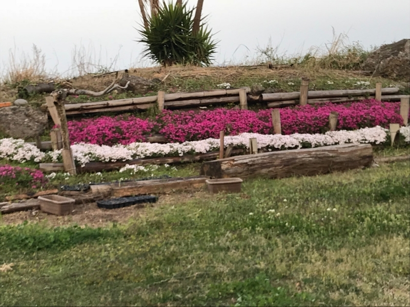 f:id:caravan9336:20180402221349j:image