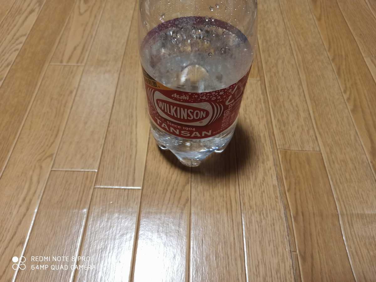 f:id:carcass5382:20191123171309j:plain