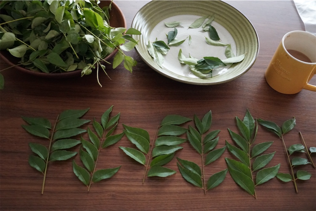 f:id:carco:20181013164244j:image
