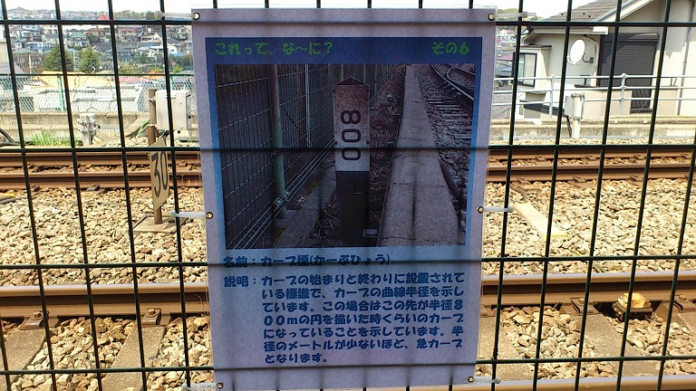 イメージ 10