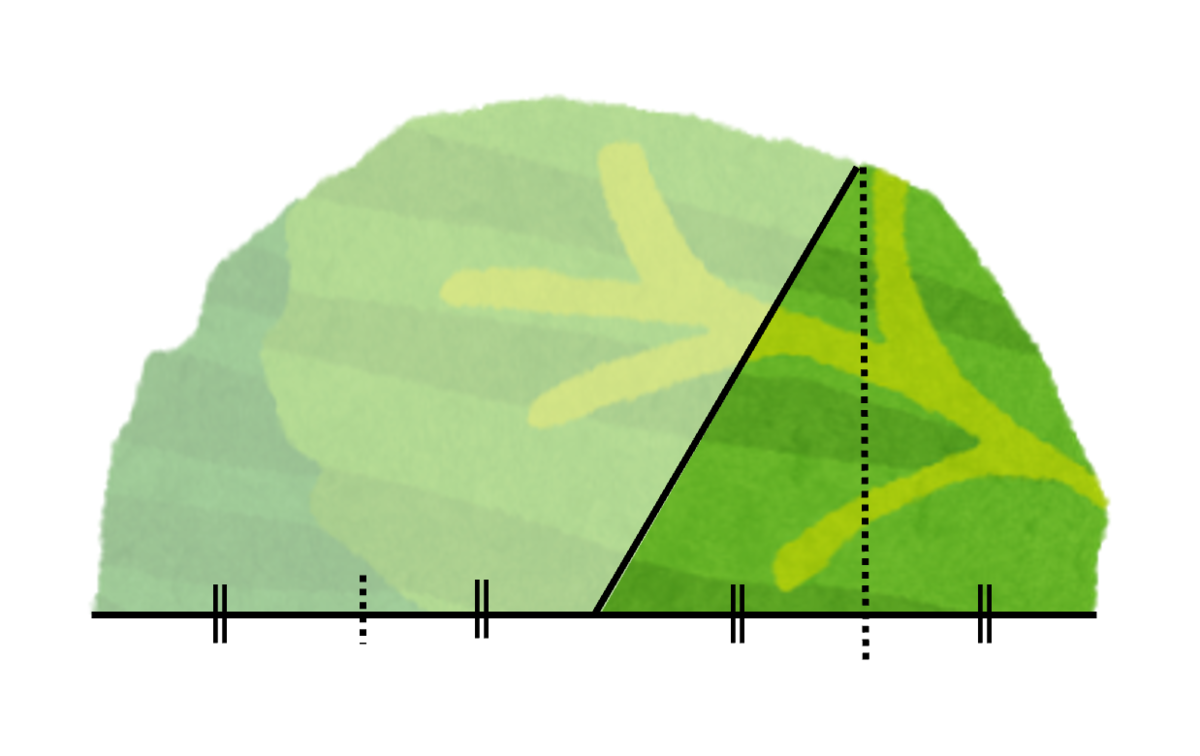 f:id:cardinalfang-quizmasta:20210324144105p:plain