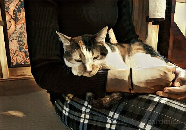 銀行通帳に身に覚えのない引き落とし オリコやaアプラス等 作ったことがないカード会社名義で引き落としがある場合の対処法とは クレジットカード の読みもの