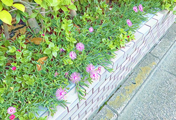 f:id:cardmics:20170819200601j:plain f:id:cardmics:20170819200601j:plain