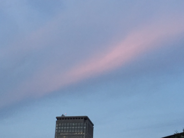 f:id:career-re-birth:20170102113454j:plain f:id:career-re-birth:20170102113454j:plain