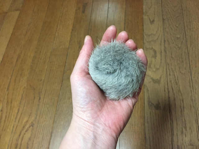 f:id:career-re-birth:20170107234111j:plain