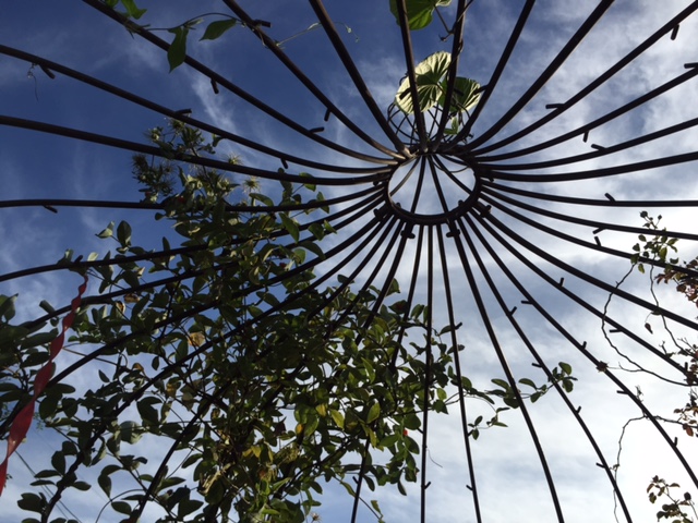 f:id:career-re-birth:20170108003457j:plain