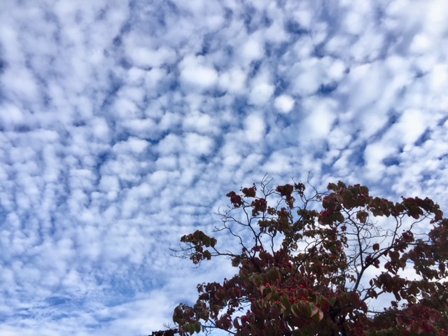 f:id:career-re-birth:20191004230331j:plain