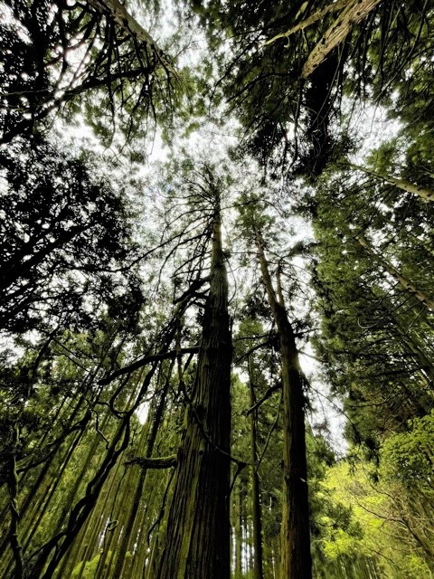 f:id:career-re-birth:20210620113404j:plain