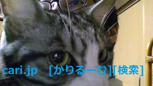 f:id:cari11:20200124232030j:plain