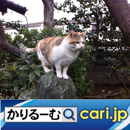 f:id:cari11:20200419132334j:plain