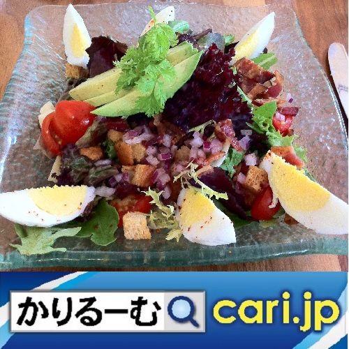 f:id:cari11:20200511191010j:plain f:id:cari11:20200511191010j:plain