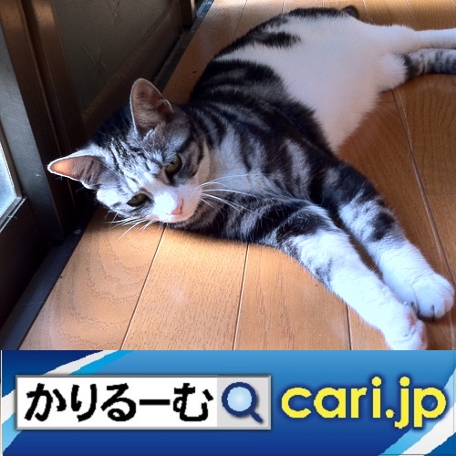 f:id:cari11:20201006185547j:plain f:id:cari11:20201006185547j:plain