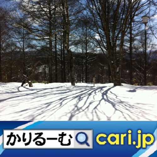f:id:cari11:20201117172048j:plain